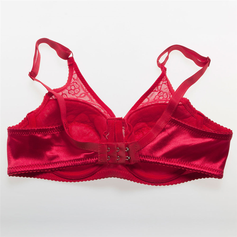 Seins 600g avec Soutien-gorge (5 Couleurs)