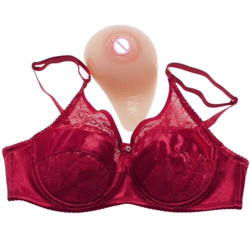 Seins 800g avec Soutien-gorge (5 Couleurs)