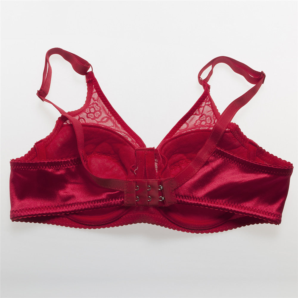 Seins 800g avec Soutien-gorge (5 Couleurs)