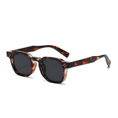 Lunettes de Soleil Queen Vestus (12 Couleurs)